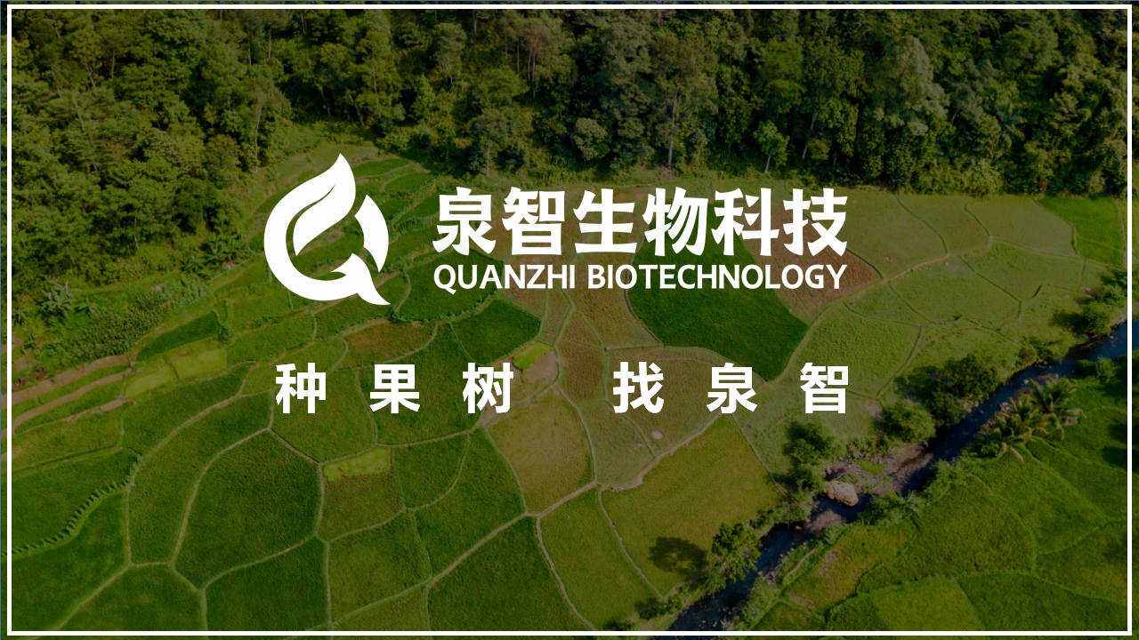 农业项目泉智生物科技ppt美化设计(图1) 农业企业ppt,农业品牌ppt介绍,青岛企业介绍ppt,青岛ppt,青岛商业计划书(图1)