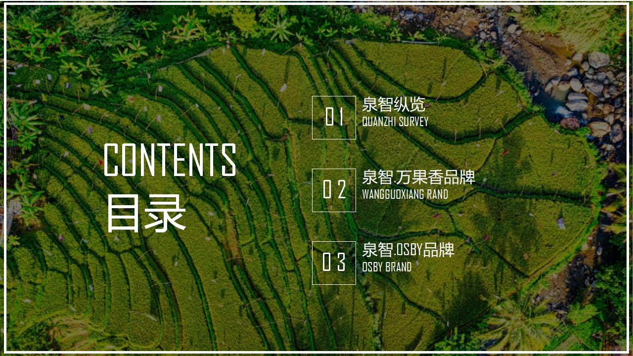 农业项目泉智生物科技ppt美化设计(图3) 农业企业ppt,农业品牌ppt介绍,青岛企业介绍ppt,青岛ppt,青岛商业计划书(图3)