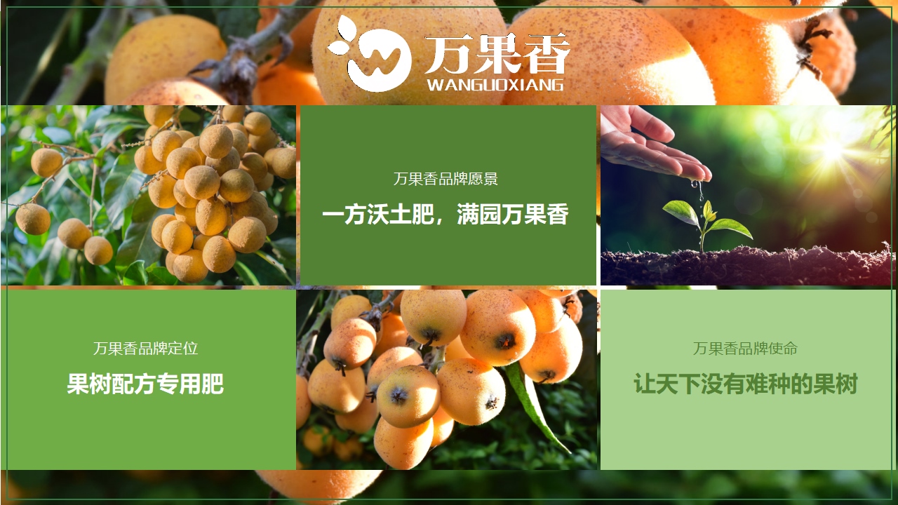 农业项目泉智生物科技ppt美化设计(图7) 农业企业ppt,农业品牌ppt介绍,青岛企业介绍ppt,青岛ppt,青岛商业计划书(图7)