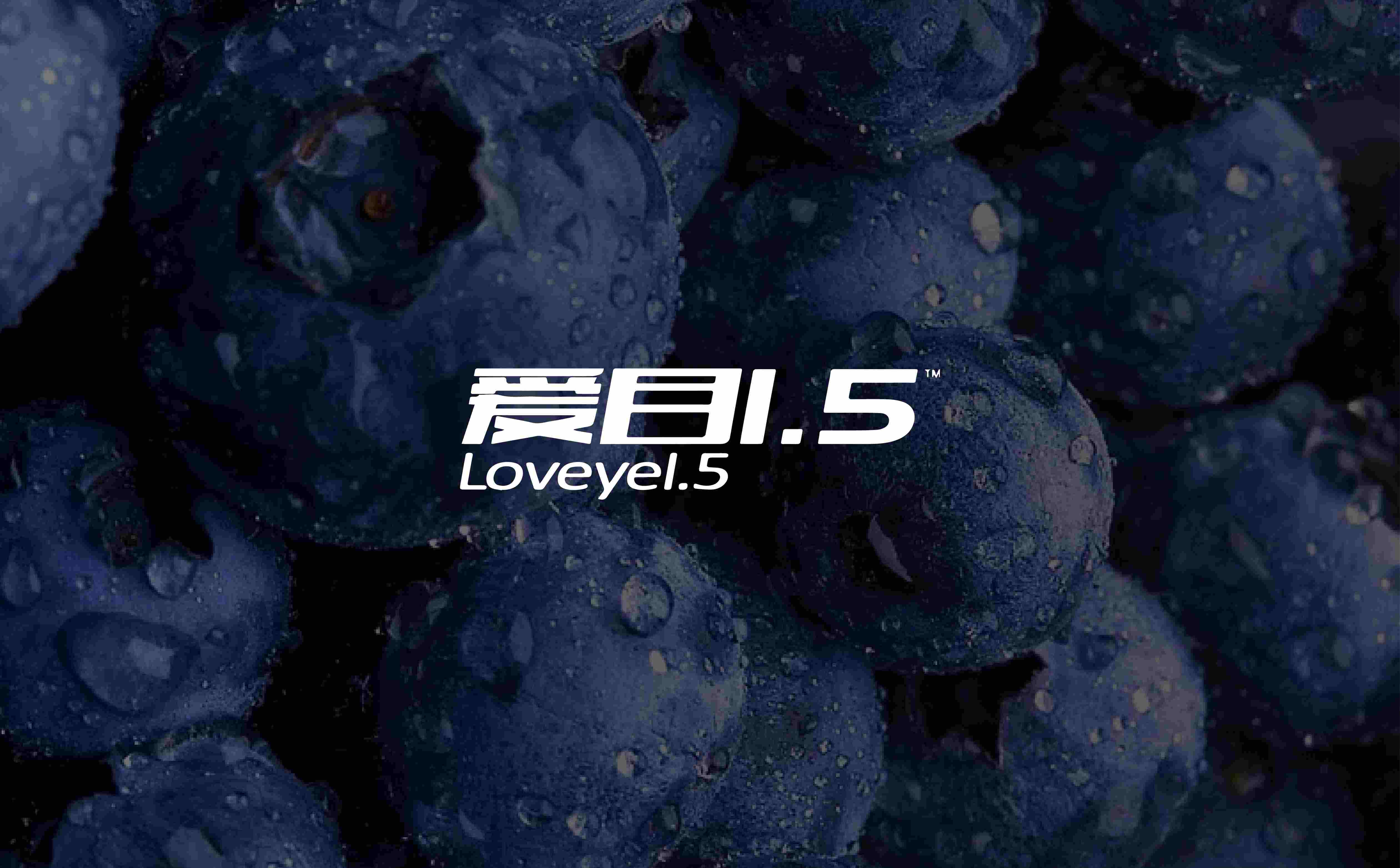 蓝莓品牌产品logo包装形象设计(图1) 蓝莓品牌包装设计,蓝莓品牌logo设计,蓝莓品牌形象设计,食品高端包装设计(图1)