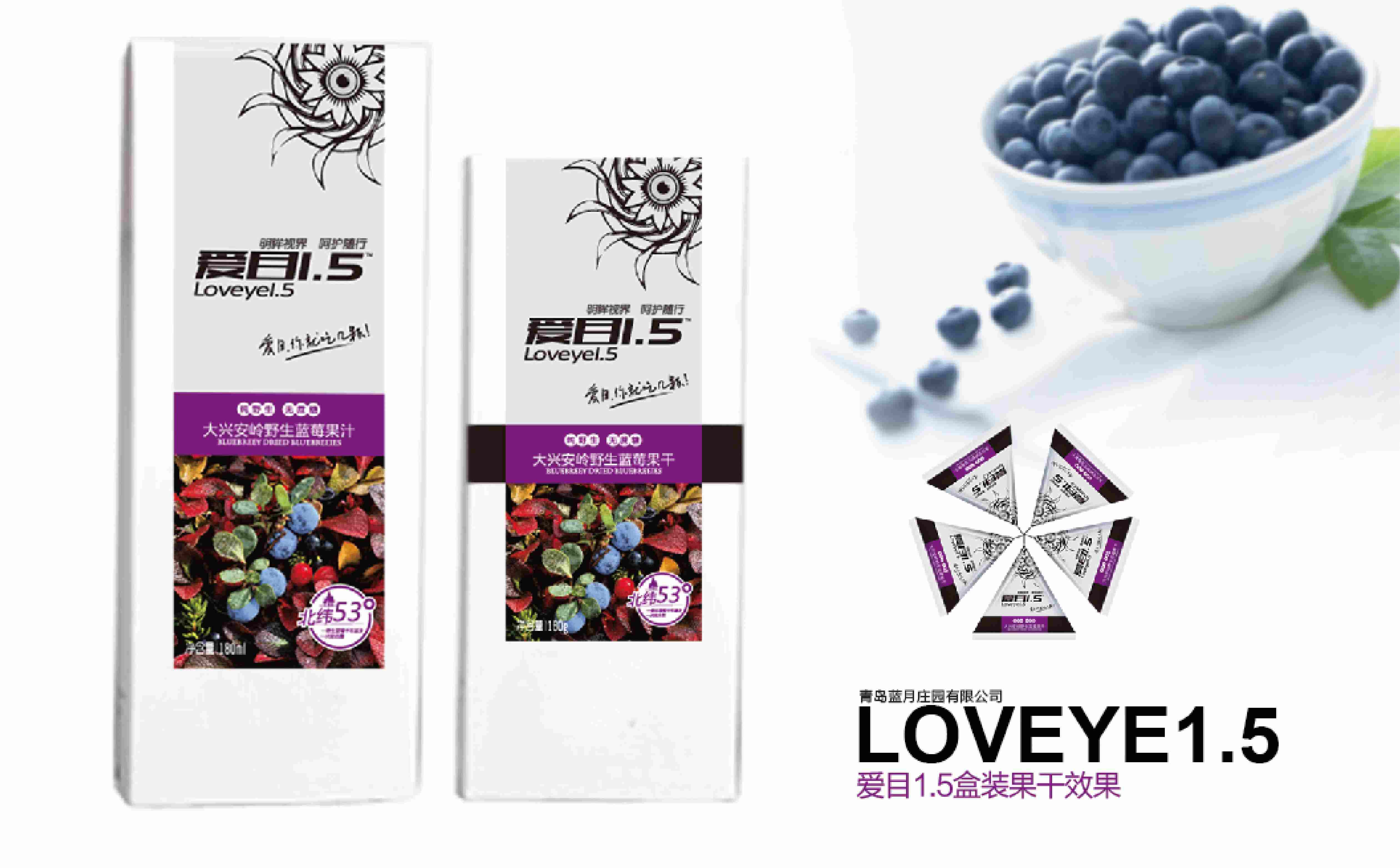 蓝莓品牌产品logo包装形象设计(图9) 蓝莓品牌包装设计,蓝莓品牌logo设计,蓝莓品牌形象设计,食品高端包装设计(图9)