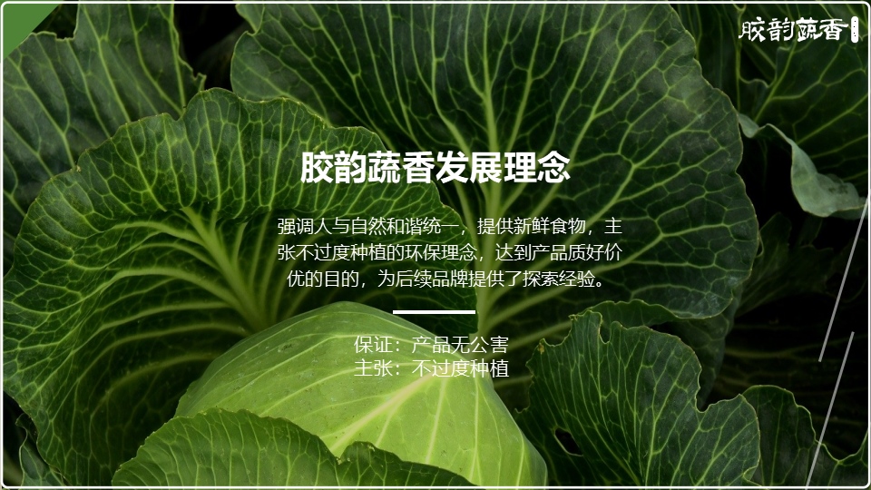 生鲜农场项目PPT策划设计(图2) 生鲜蔬菜企业介绍PPT,企业介绍PPT,蔬菜生鲜项目策划,果蔬项目策划设计,农场项目策划设计(图2)