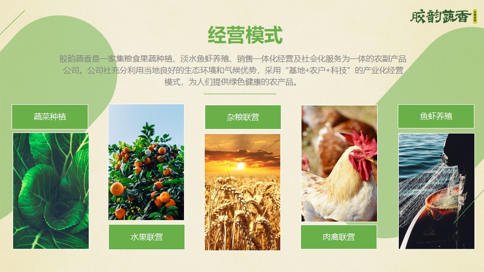 生鲜农场项目PPT策划设计(图3) 生鲜蔬菜企业介绍PPT,企业介绍PPT,蔬菜生鲜项目策划,果蔬项目策划设计,农场项目策划设计(图3)