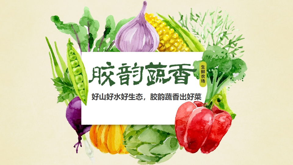 生鲜农场项目PPT策划设计(图1) 生鲜蔬菜企业介绍PPT,企业介绍PPT,蔬菜生鲜项目策划,果蔬项目策划设计,农场项目策划设计(图1)