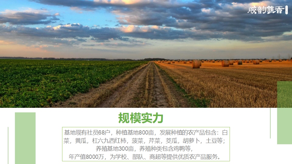 生鲜农场项目PPT策划设计(图4) 生鲜蔬菜企业介绍PPT,企业介绍PPT,蔬菜生鲜项目策划,果蔬项目策划设计,农场项目策划设计(图4)