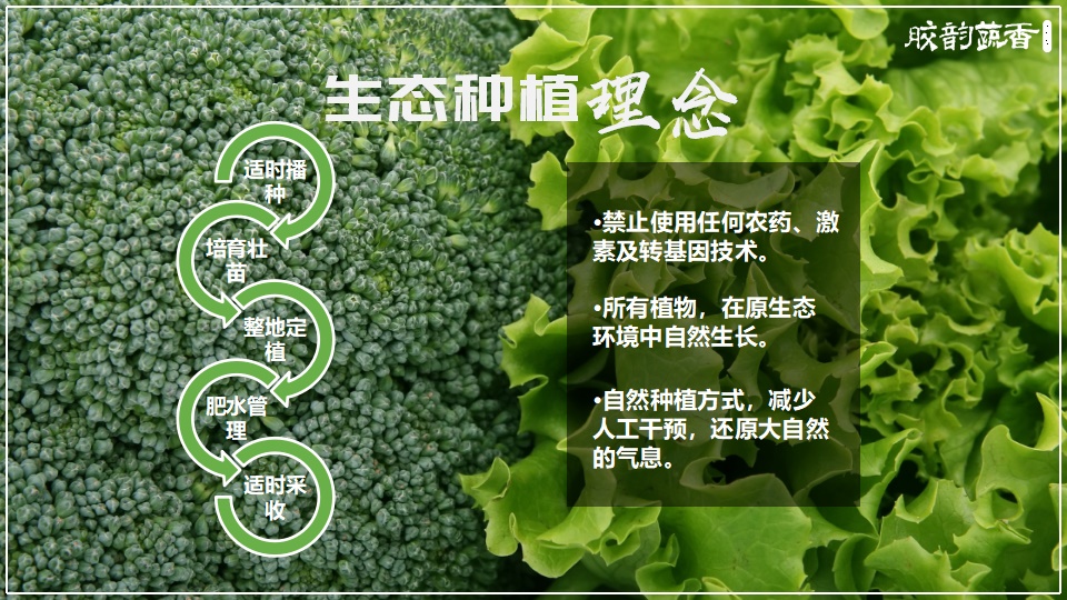 生鲜农场项目PPT策划设计(图8) 生鲜蔬菜企业介绍PPT,企业介绍PPT,蔬菜生鲜项目策划,果蔬项目策划设计,农场项目策划设计(图8)