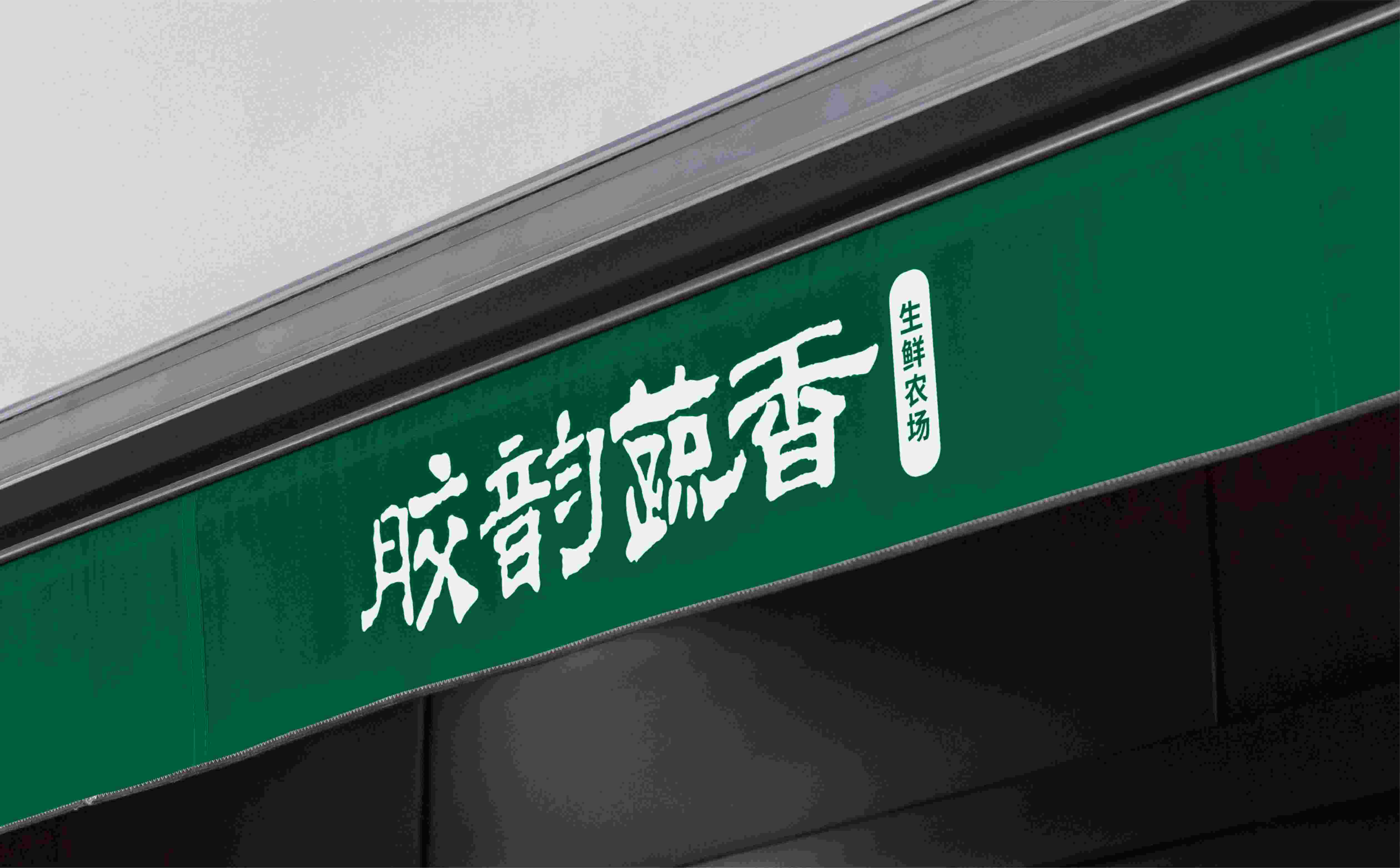 农场logo设计,青岛生鲜农场形象设计,青岛农业品牌logo设计(图7)