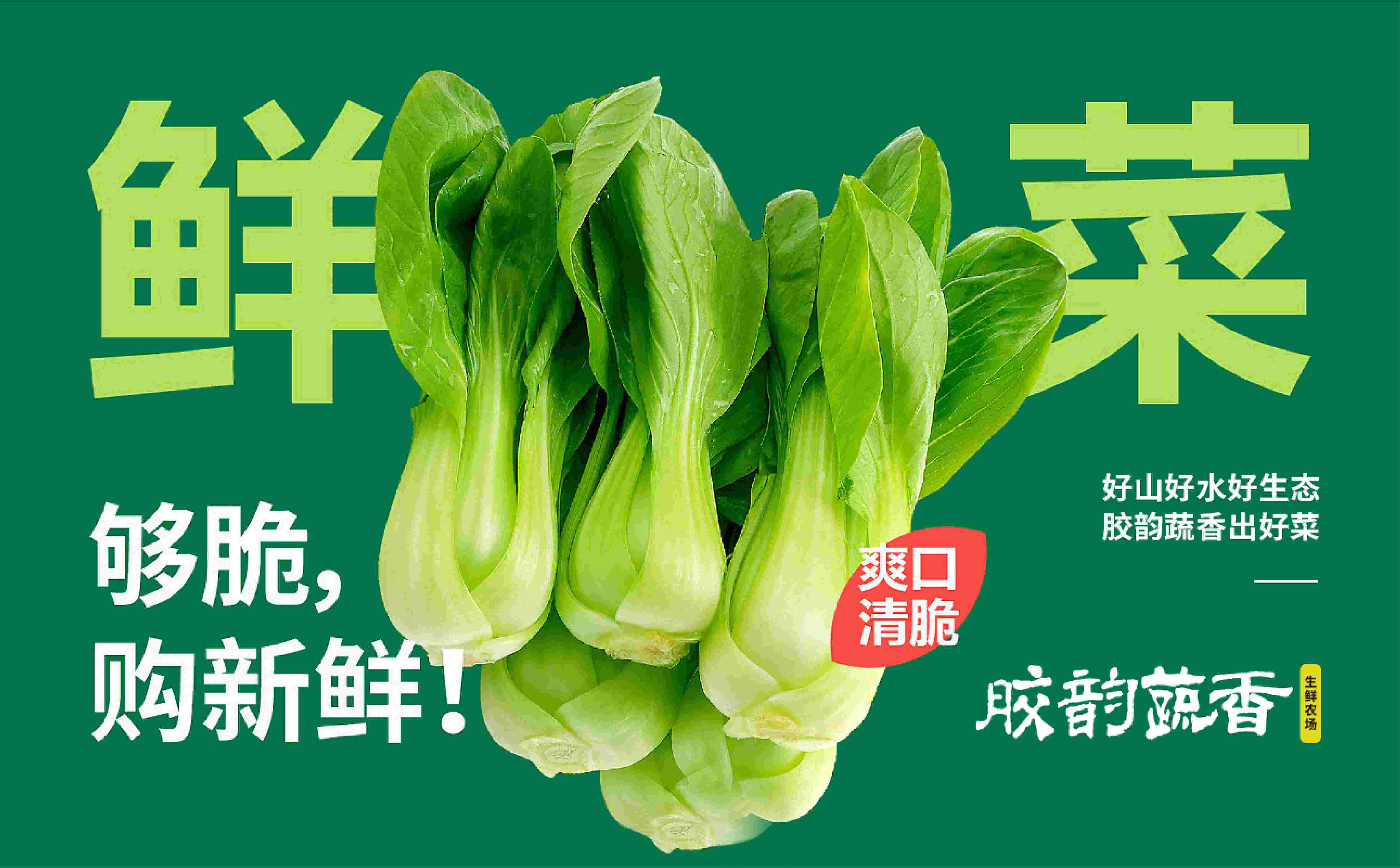 农场logo设计,青岛生鲜农场形象设计,青岛农业品牌logo设计(图9)