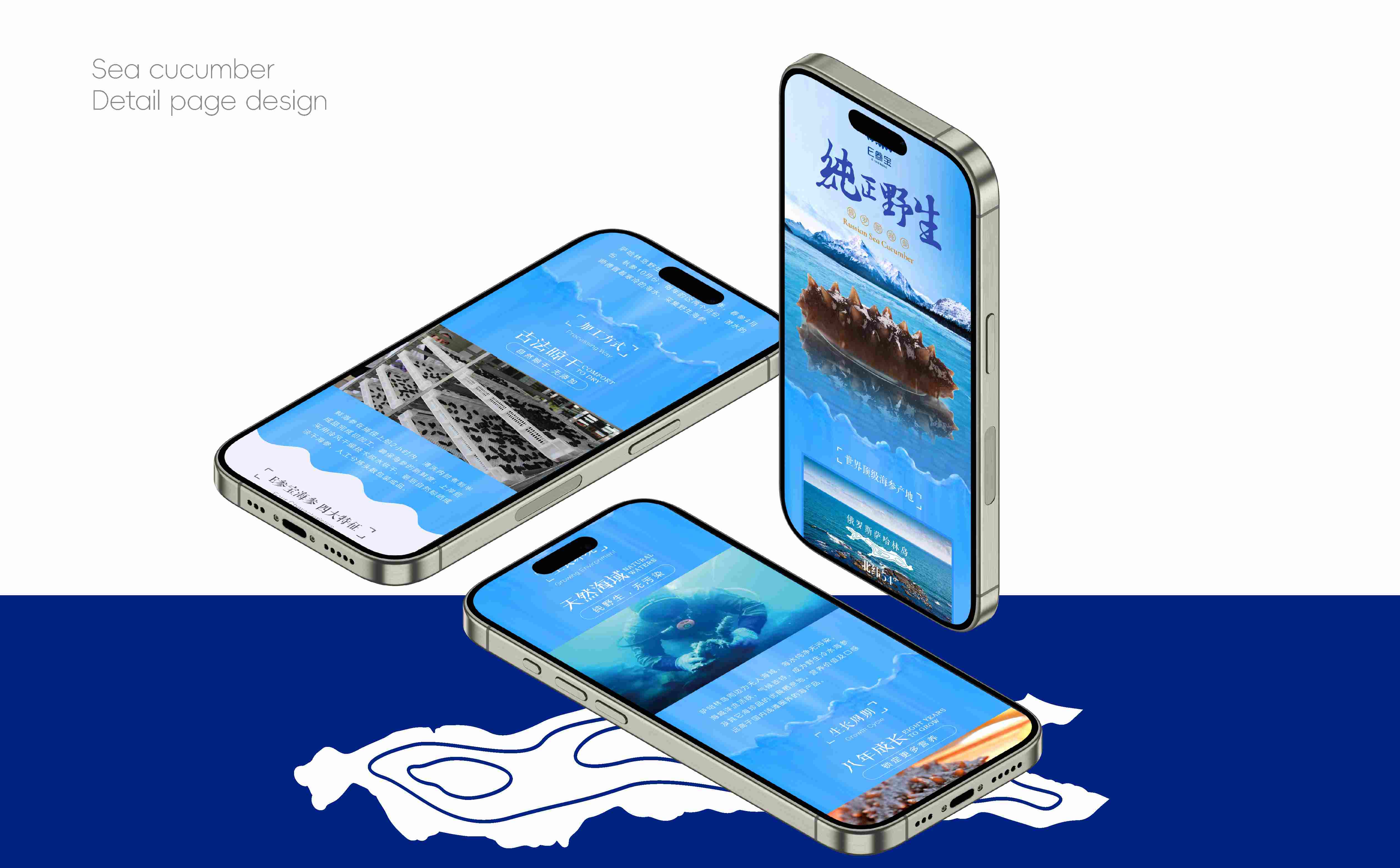 海参品牌形象设计,海参产品详情页设计,海参品牌线上设计,海参产品长图设计(图3) 海参品牌形象设计,海参产品详情页设计,海参品牌线上设计,海参产品长图设计(图3)