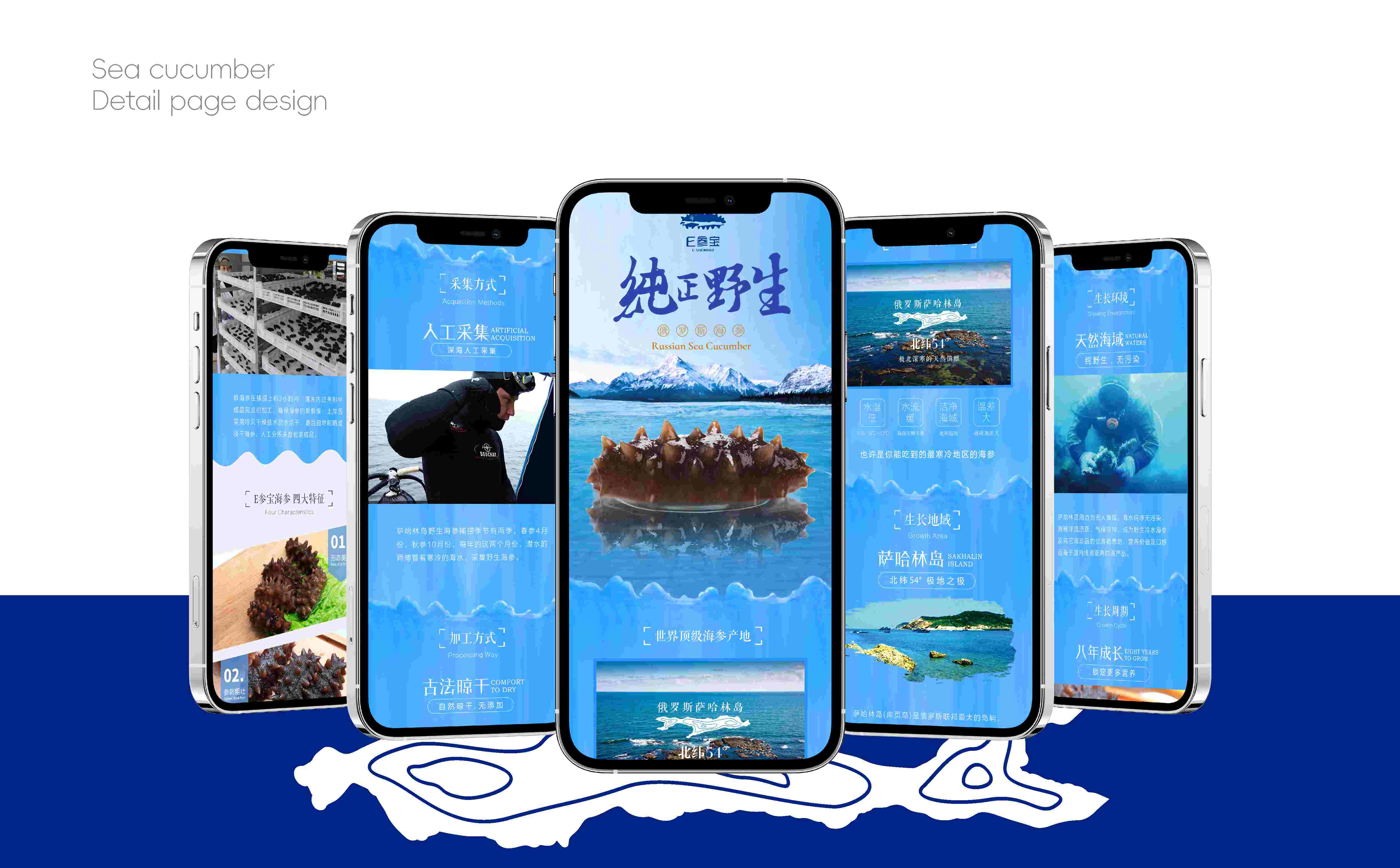 海参品牌形象设计,海参产品详情页设计,海参品牌线上设计,海参产品长图设计(图2) 海参品牌形象设计,海参产品详情页设计,海参品牌线上设计,海参产品长图设计(图2)