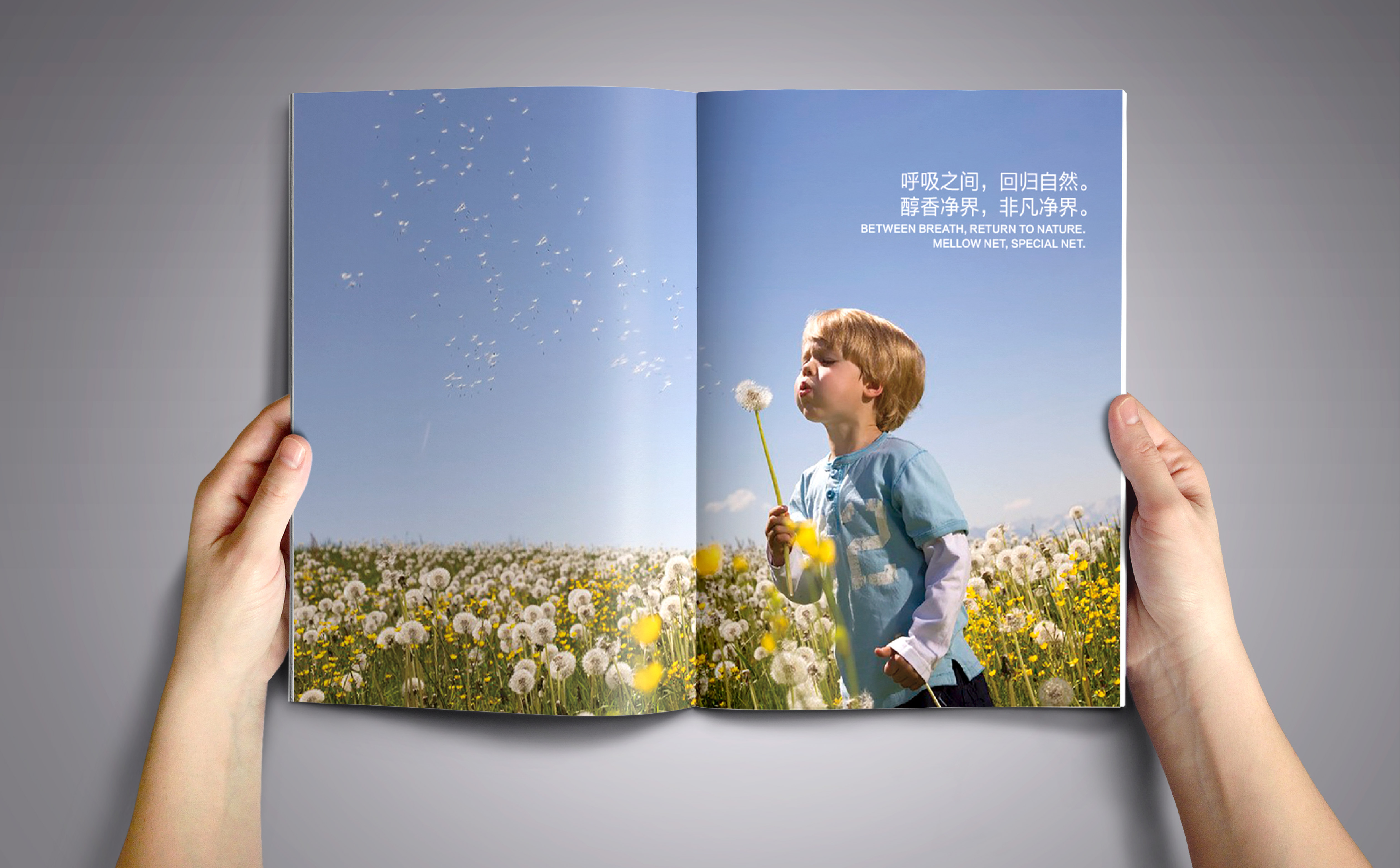 空气净化行业画册设计,青岛画册设计,高端画册设计,环保行业画册设计(图3)
