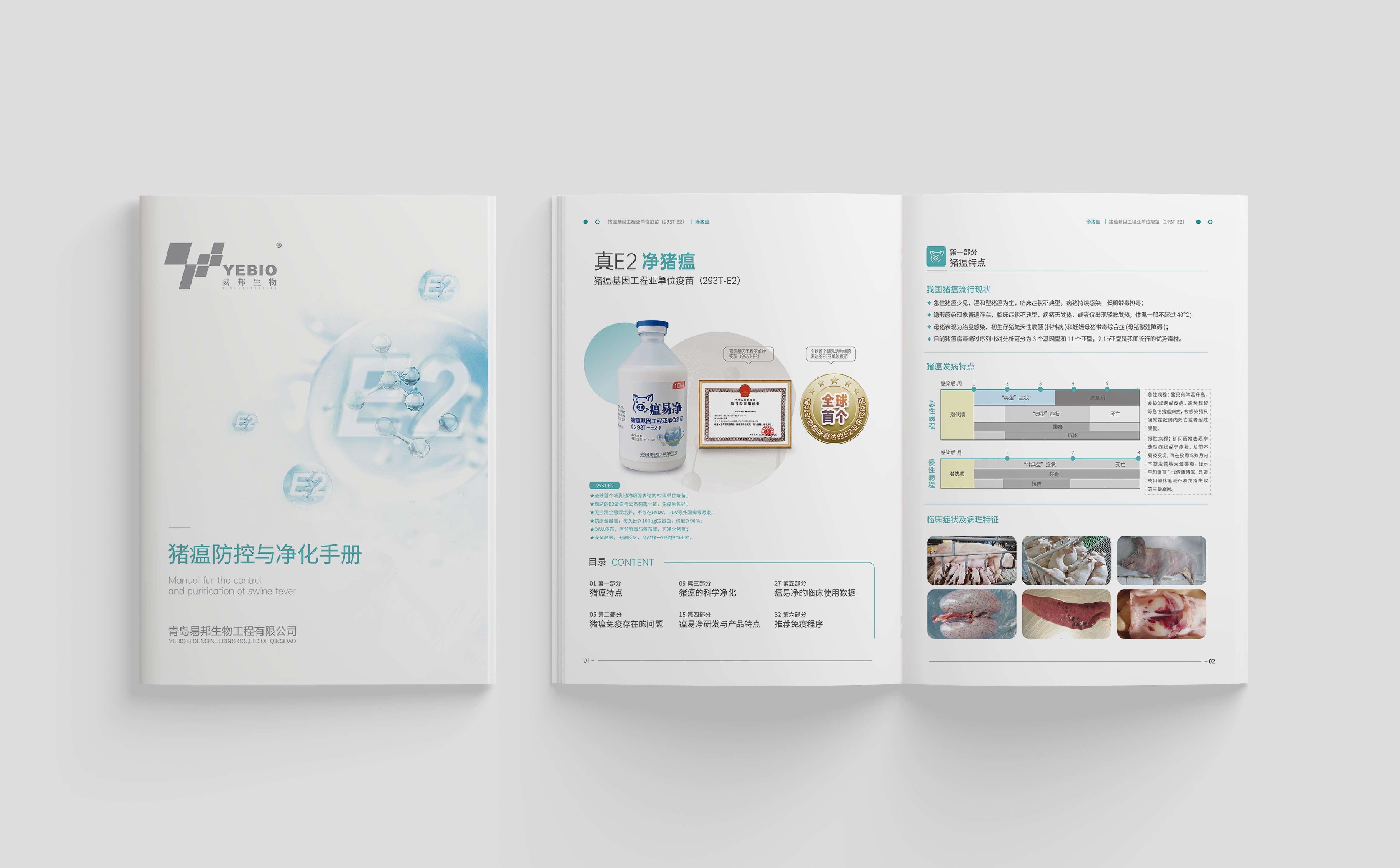 青岛设计公司,青岛广告公司,生物科技公司画册设计,产品画册设计,动物疫苗画册设计(图4) 青岛设计公司,青岛广告公司,生物科技公司画册设计,产品画册设计,动物疫苗画册设计(图4)