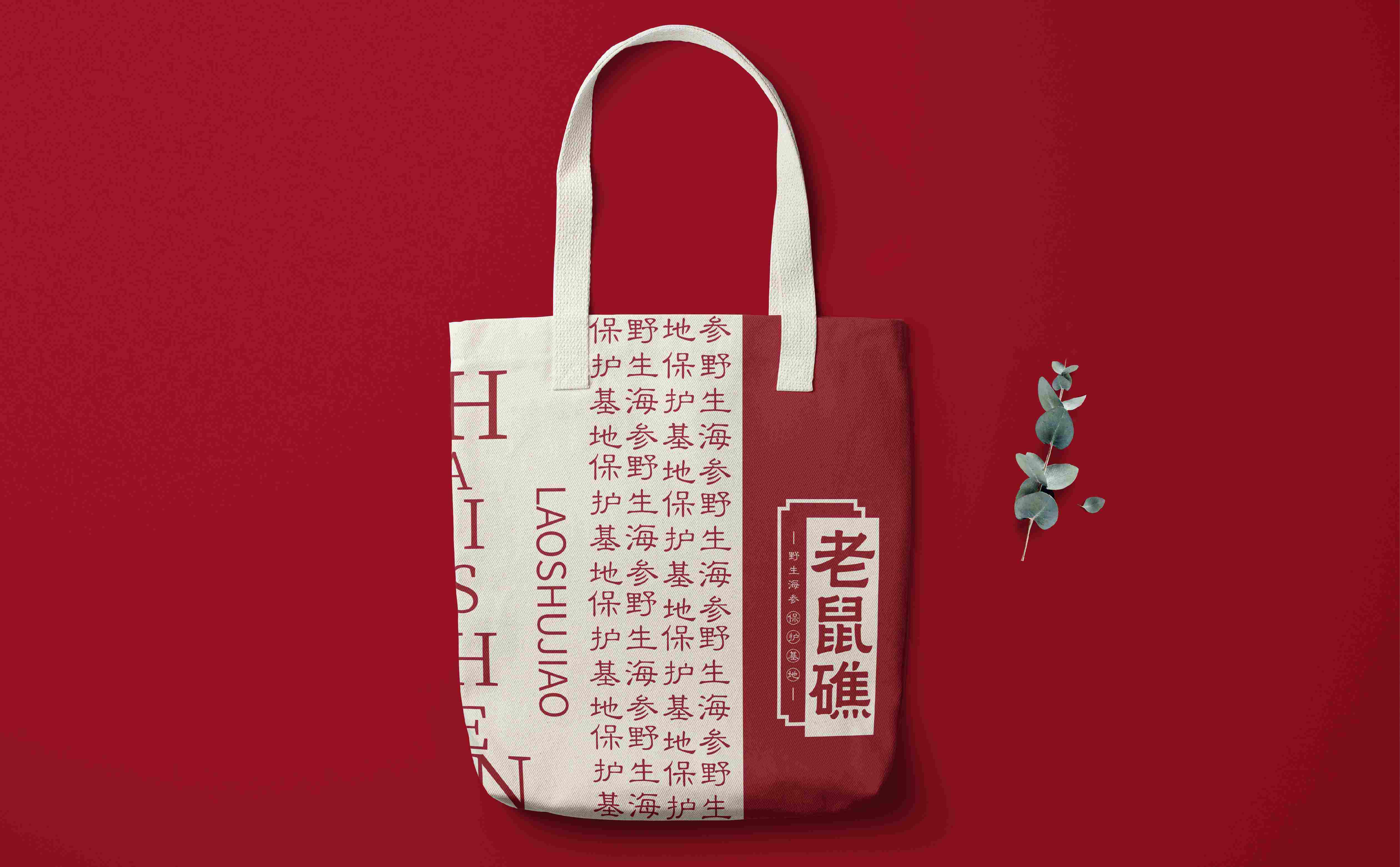 海参品牌策划设计,海参logo设计,海参包装设计,青岛设计公司,青岛包装设计,海参品牌全案策划设计(图3)