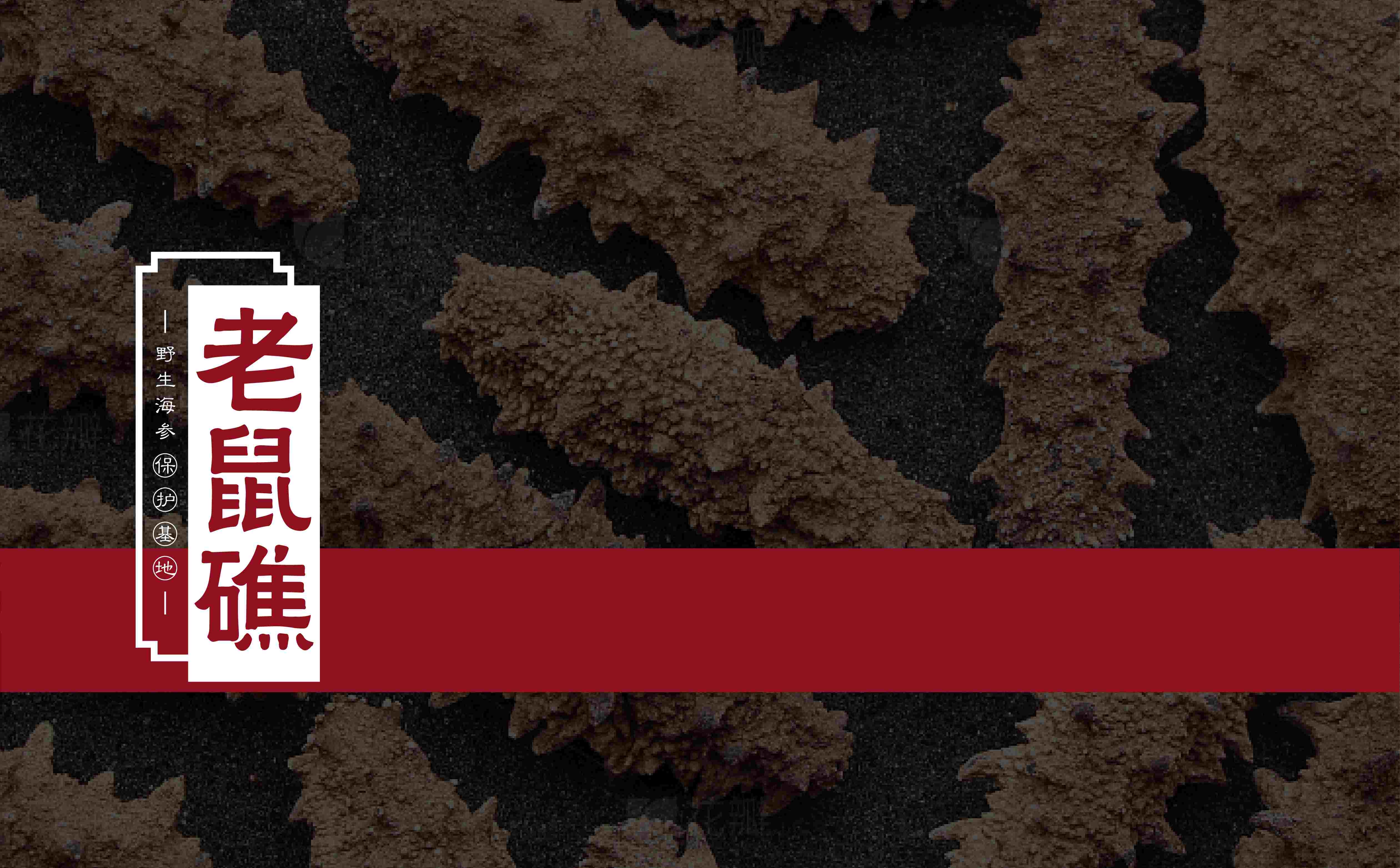 海参品牌策划设计,海参logo设计,海参包装设计,青岛设计公司,青岛包装设计,海参品牌全案策划设计(图1)