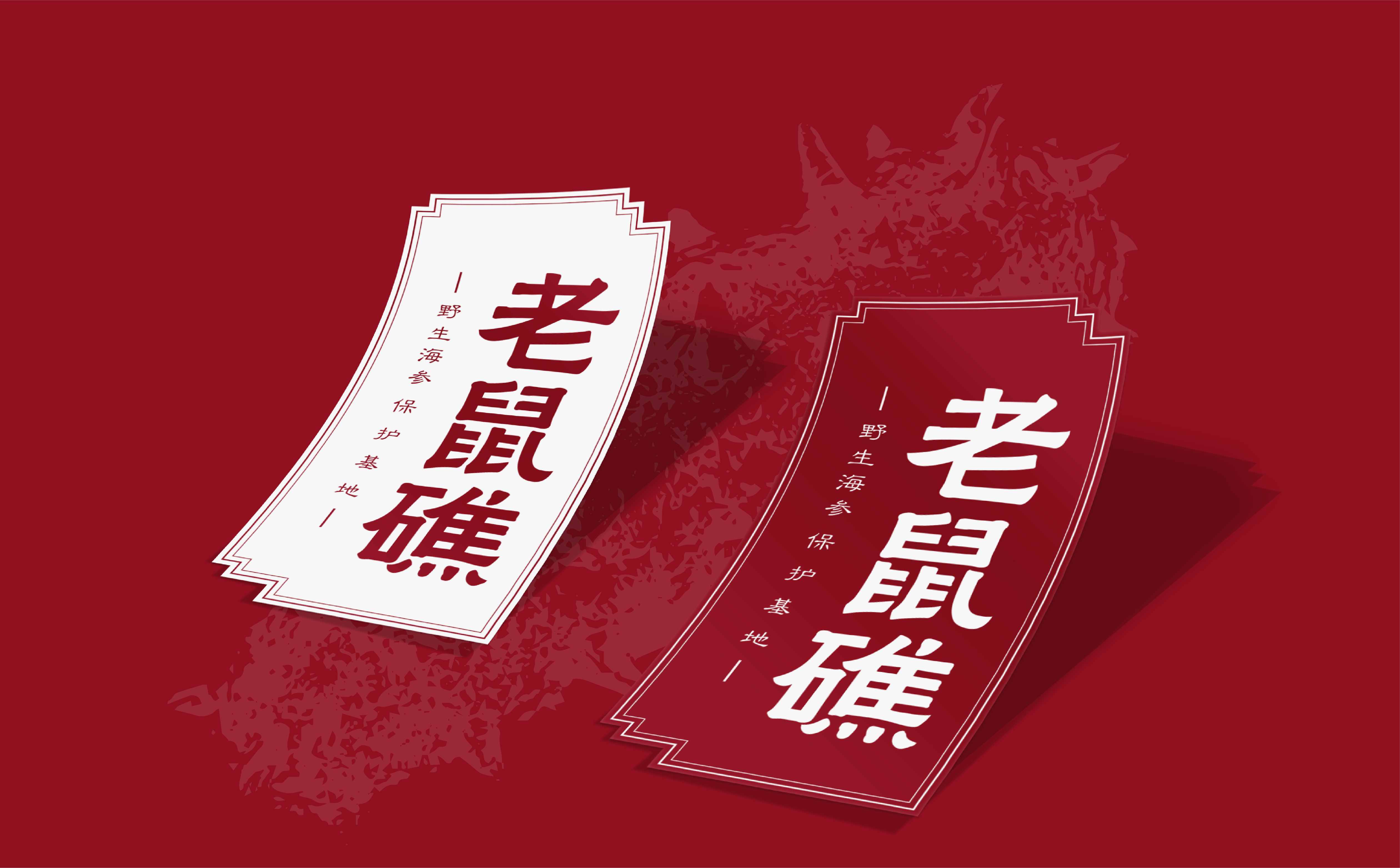 海参品牌策划设计,海参logo设计,海参包装设计,青岛设计公司,青岛包装设计,海参品牌全案策划设计(图6)