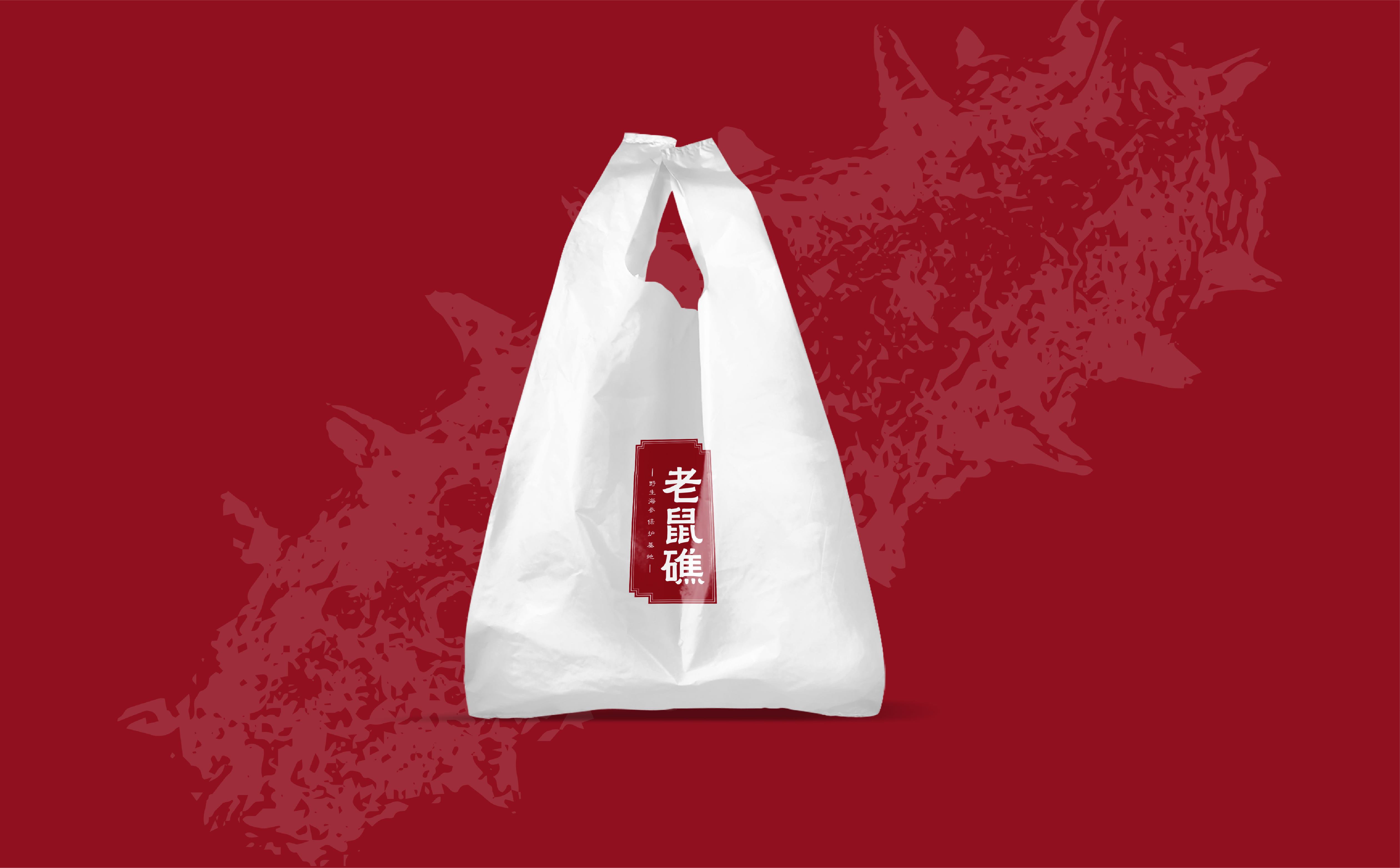 海参品牌策划设计,海参logo设计,海参包装设计,青岛设计公司,青岛包装设计,海参品牌全案策划设计(图5)