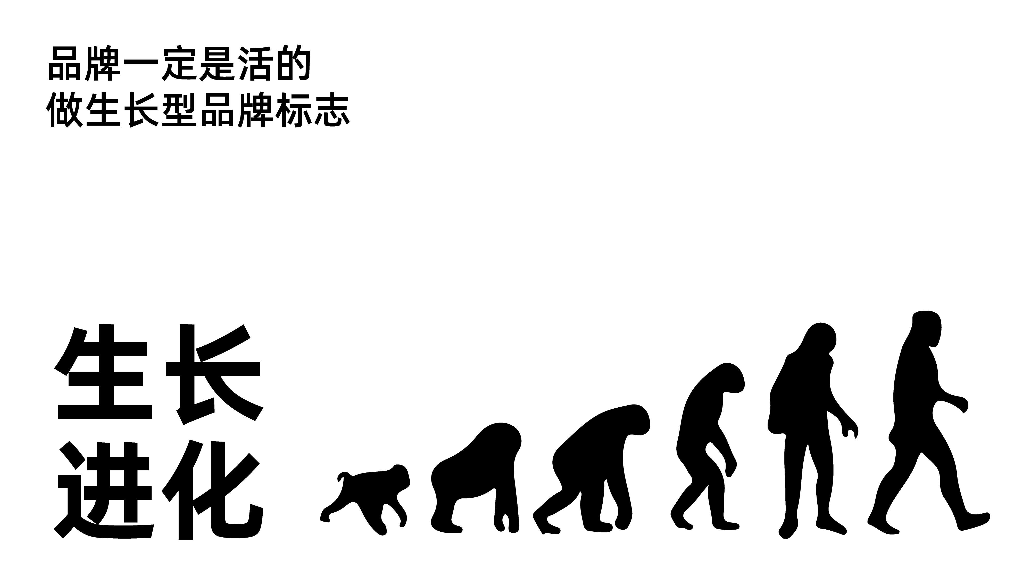 青岛设计公司,青岛策划公司,青岛品牌策划,青岛食用油品牌全案策划设计,青岛logo设计,青岛食用油品牌标志设计(图7)