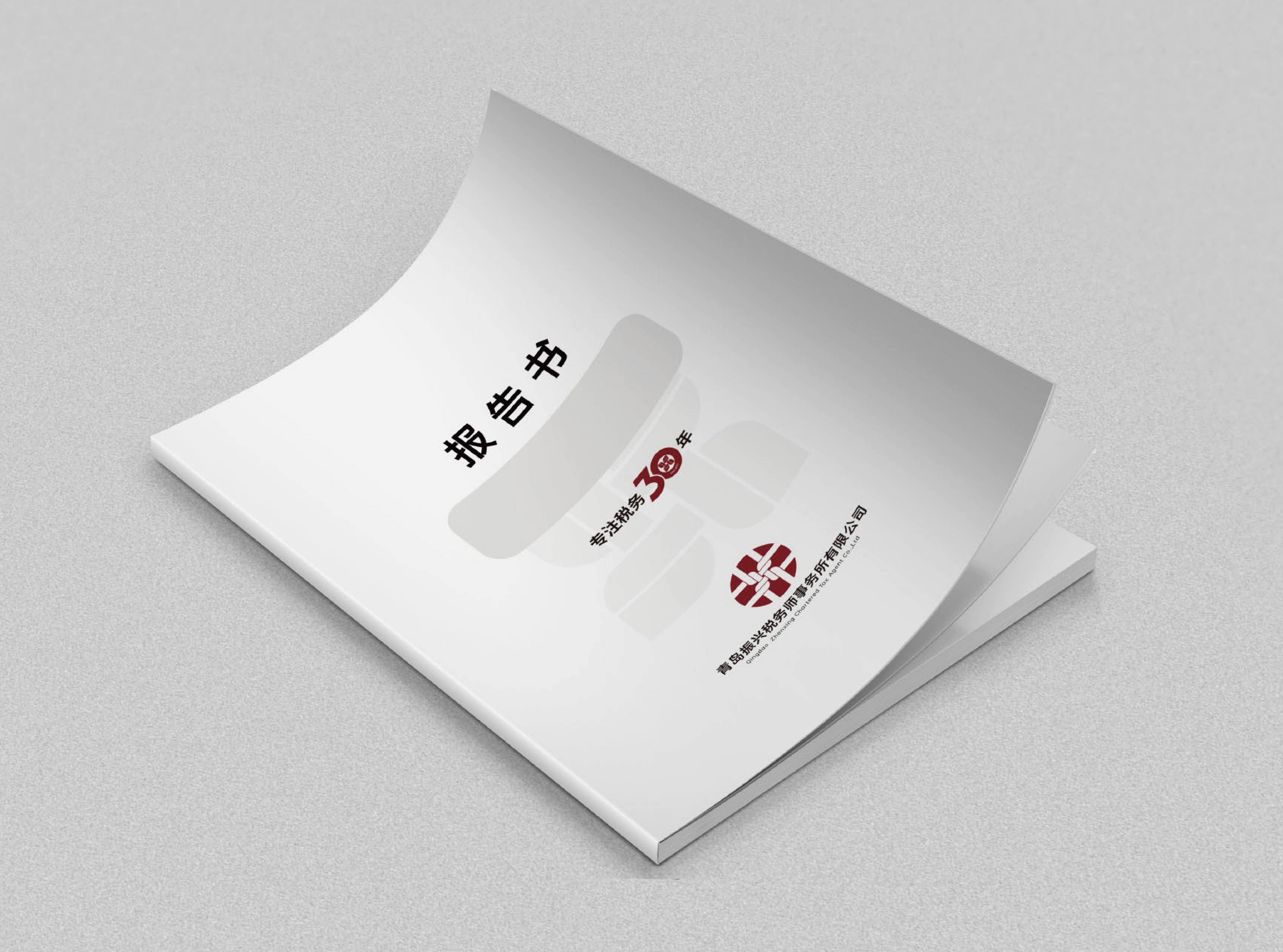 财税公司logo形象设计,税务公司logo形象设计,青岛logo设计,青岛财税公司logo设计,青岛设计公司(图10) 财税公司logo形象设计,税务公司logo形象设计,青岛logo设计,青岛财税公司logo设计,青岛设计公司(图10)