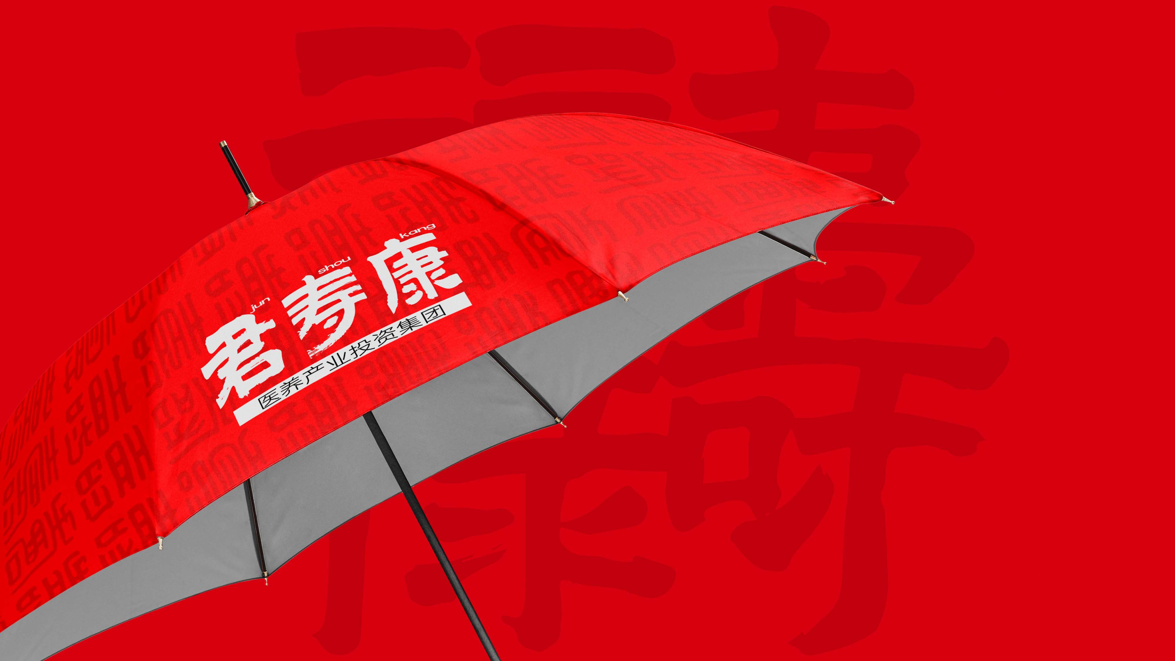 康养项目logo设计,康养品牌形象设计,青岛品牌设计,青岛品牌策划,青岛logo设计,青岛标志设计,青岛设计公司(图13) 康养项目logo设计,康养品牌形象设计,青岛品牌设计,青岛品牌策划,青岛logo设计,青岛标志设计,青岛设计公司(图13)