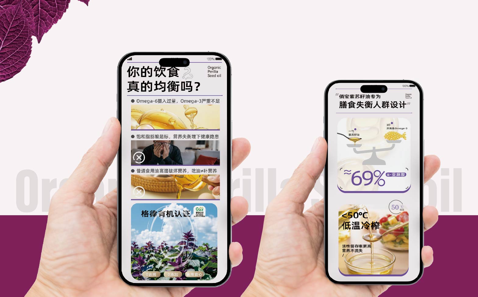 紫苏籽油包装设计,特种油脂包装设计,食用油包装设计,青岛品牌设计,青岛包装设计,食用油包装设计,青岛设计公司,青岛品牌策划(图3) 紫苏籽油包装设计,特种油脂包装设计,食用油包装设计,青岛品牌设计,青岛包装设计,食用油包装设计,青岛设计公司,青岛品牌策划(图3)
