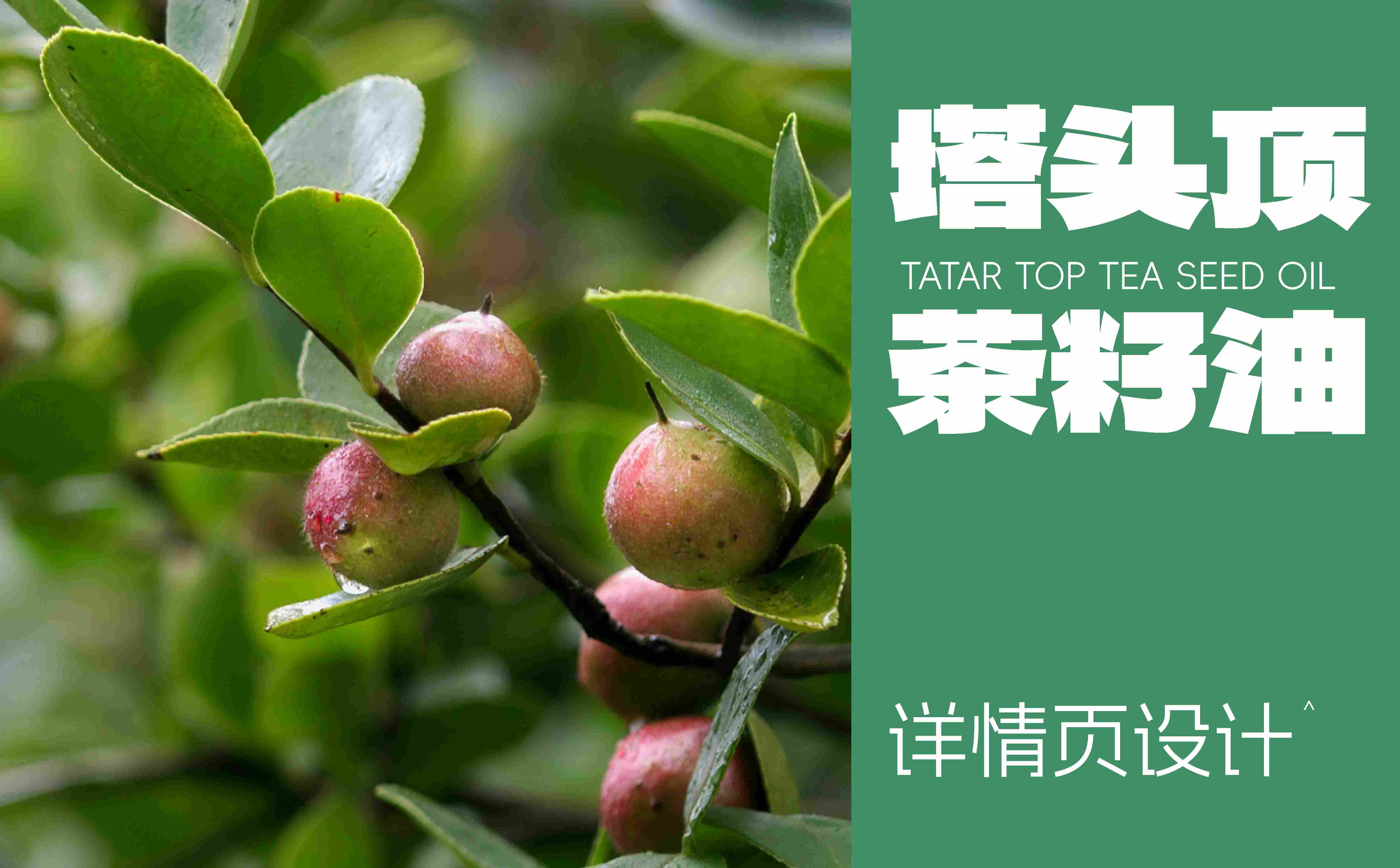山茶油图片拍摄,山茶油详情页设计,食用油广告拍摄,食用油详情页,食用油线上设计(图1) 山茶油图片拍摄,山茶油详情页设计,食用油广告拍摄,食用油详情页,食用油线上设计(图1)
